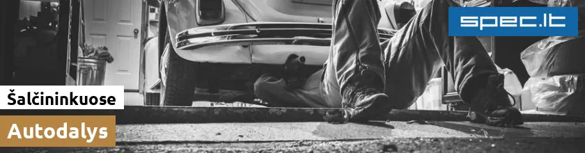 Autodalys Šalčininkuose | spec.lt