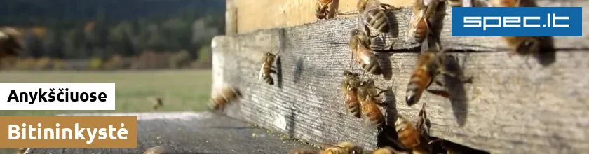 Bitininkystė Anykščiuose | spec.lt