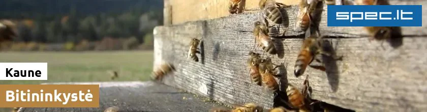 Bitininkystė Kaune | spec.lt