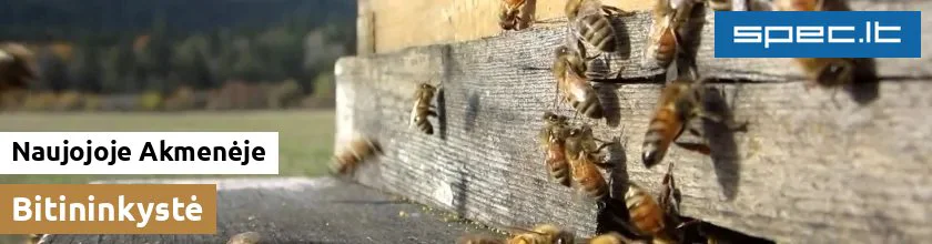 Bitininkystė Naujojoje Akmenėje