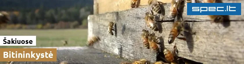 Bitininkystė Šakiuose | spec.lt