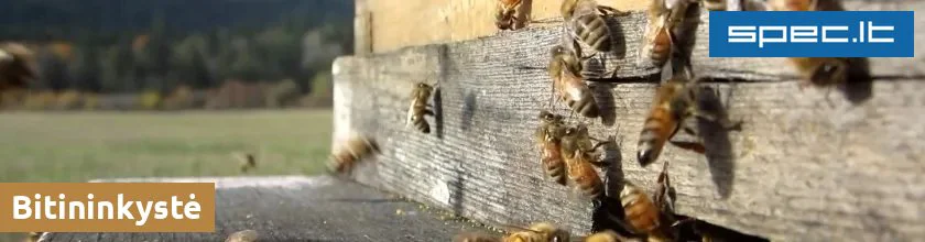 Bitininkystė | spec.lt