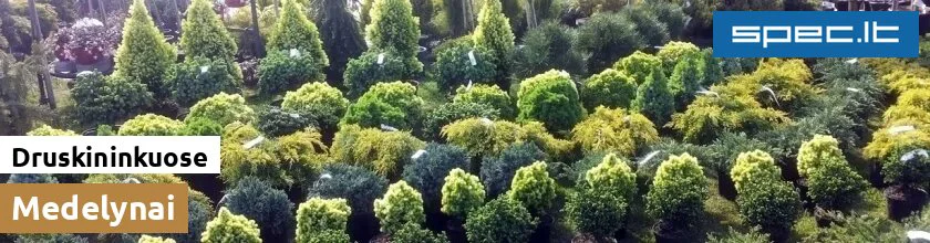Medelynai Druskininkuose | spec.lt