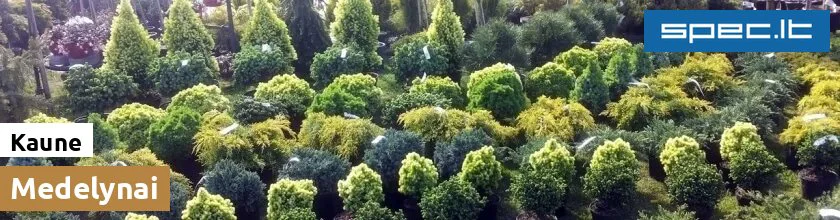 Medelynai Kaune | spec.lt