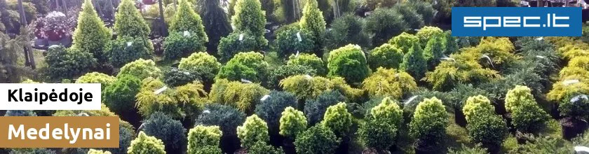 Medelynai Klaipėdoje | spec.lt