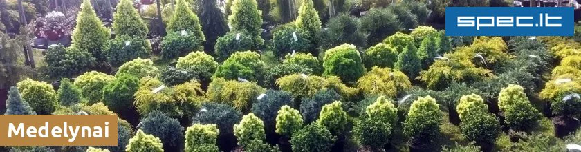Medelynai | spec.lt