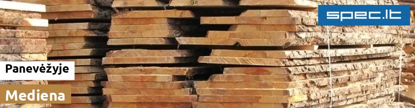 Mediena Panevėžyje | spec.lt