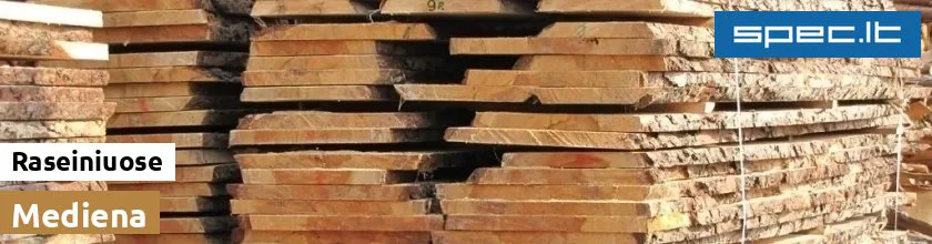 Mediena Raseiniuose | spec.lt