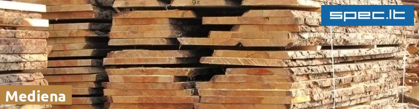 Mediena | spec.lt