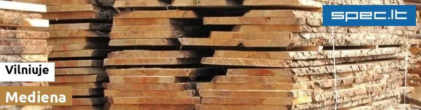 Mediena Vilniuje | spec.lt