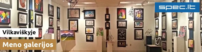 Meno galerijos Vilkaviškyje