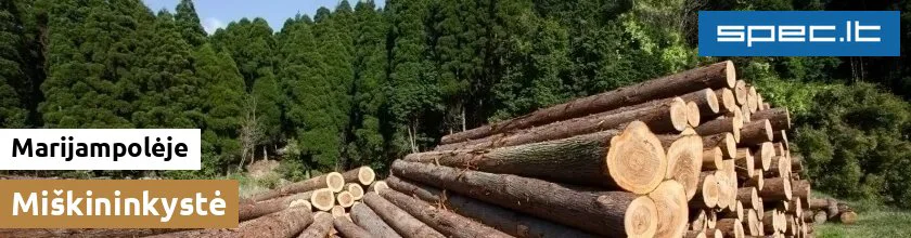 Miškininkystė Marijampolėje | spec.lt
