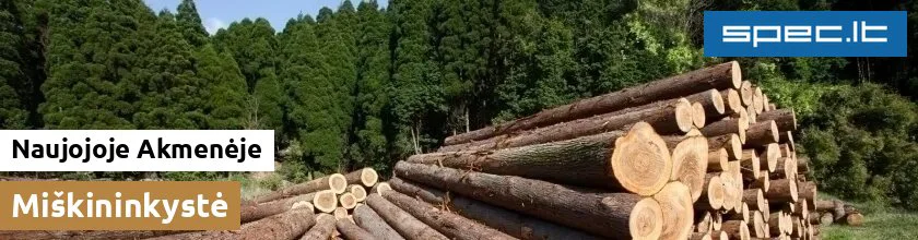 Miškininkystė Naujojoje Akmenėje