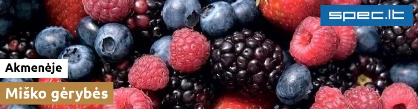 Miško gėrybės Akmenėje | spec.lt