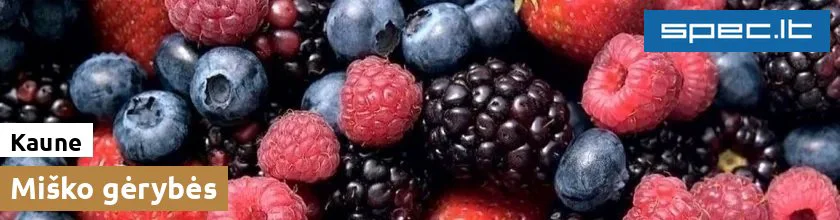 Miško gėrybės Kaune | spec.lt
