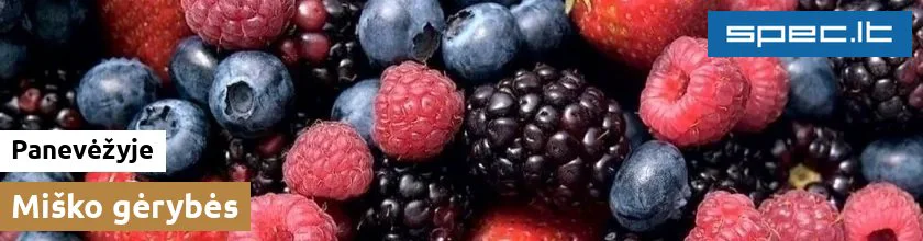 Miško gėrybės Panevėžyje | spec.lt