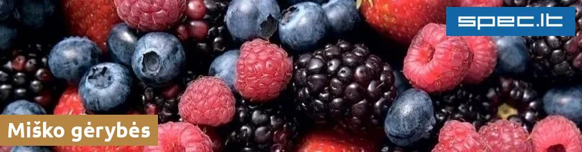 Miško gėrybės | spec.lt