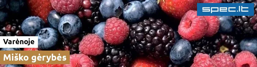 Miško gėrybės Varėnoje | spec.lt