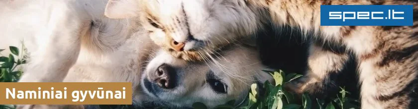 Naminiai gyvūnai | spec.lt