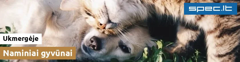 Naminiai gyvūnai Ukmergėje | spec.lt