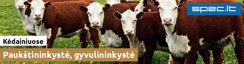 Paukštininkystė, gyvulininkystė Kėdainiuose | spec.lt