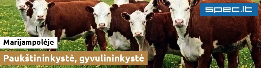 Paukštininkystė, gyvulininkystė Marijampolėje | spec.lt