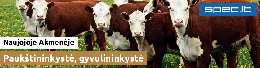 Paukštininkystė, gyvulininkystė Naujojoje Akmenėje
