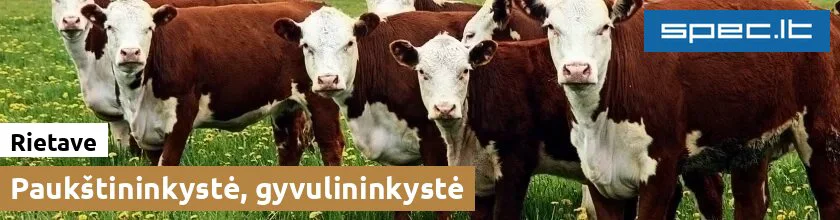 Paukštininkystė, gyvulininkystė Rietave
