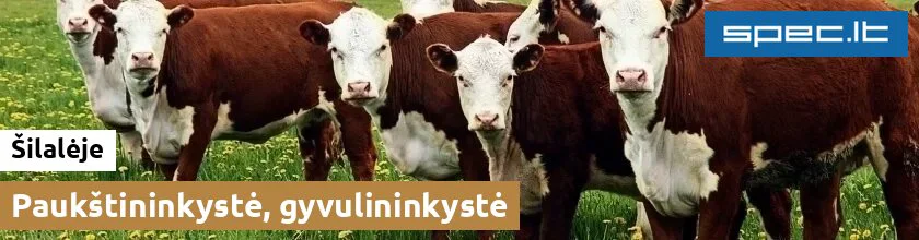 Paukštininkystė, gyvulininkystė Šilalėje