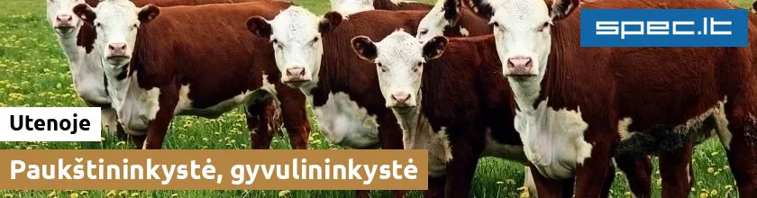 Paukštininkystė, gyvulininkystė Utenoje