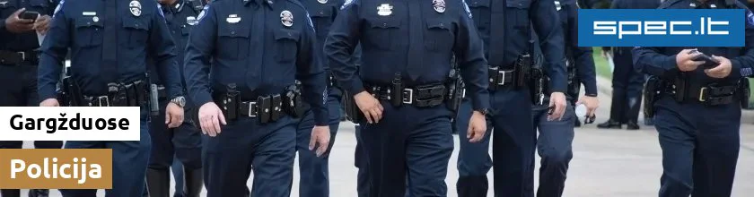 Policija Gargžduose