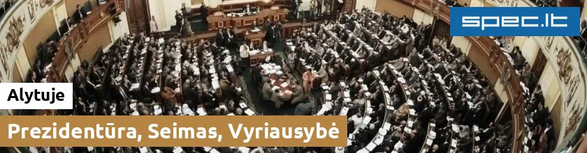 Prezidentūra, Seimas, Vyriausybė Alytuje