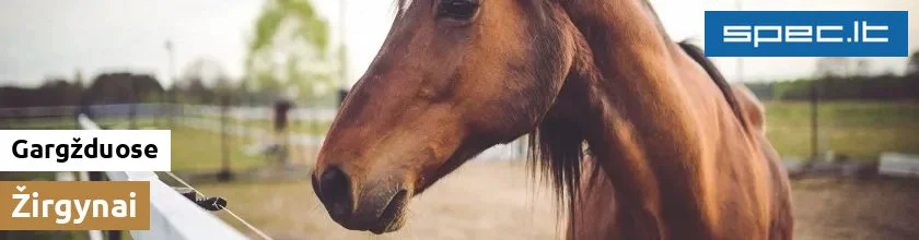 Žirgynai Gargžduose | spec.lt