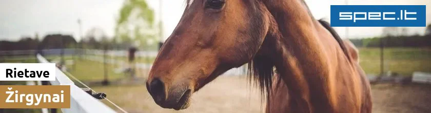 Žirgynai Rietave