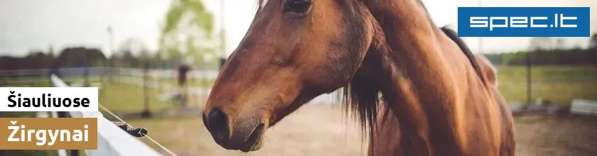 Žirgynai Šiauliuose | spec.lt