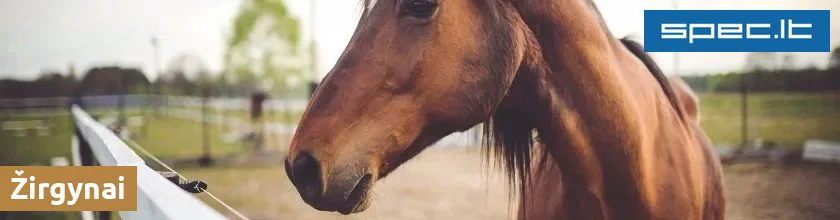 Žirgynai | spec.lt