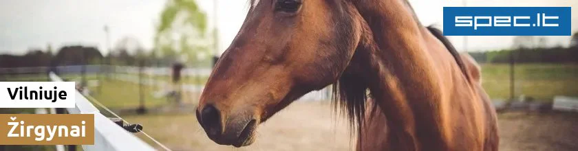 Žirgynai Vilniuje | spec.lt