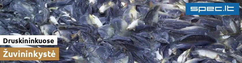 Žuvininkystė Druskininkuose