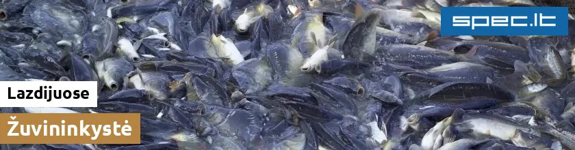 Žuvininkystė Lazdijuose | spec.lt