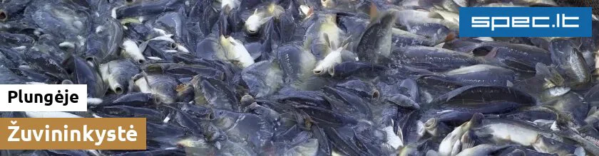 Žuvininkystė Plungėje | spec.lt