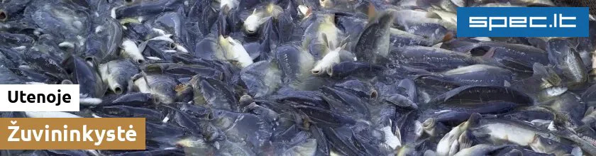 Žuvininkystė Utenoje | spec.lt