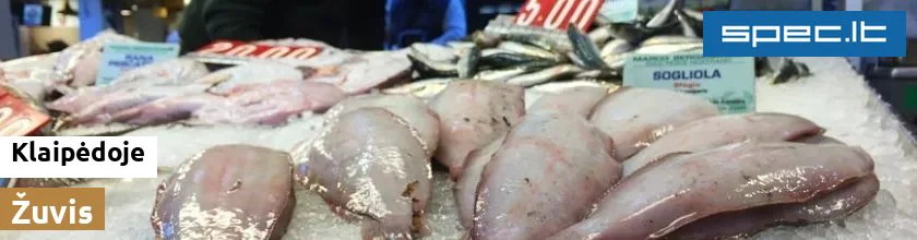 Žuvis Klaipėdoje | spec.lt