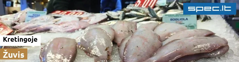 Žuvis Kretingoje | spec.lt