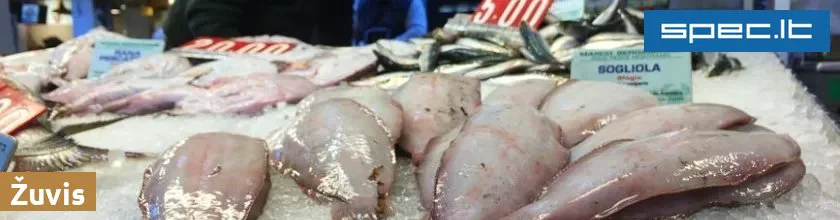 Žuvis | spec.lt