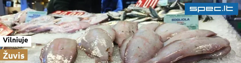 Žuvis Vilniuje | spec.lt