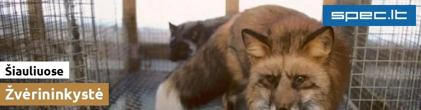 Žvėrininkystė Šiauliuose | spec.lt