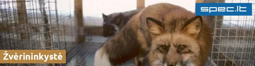 Žvėrininkystė | spec.lt
